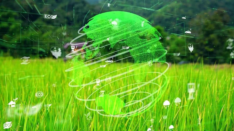 grassy background with a green globe surrounded by ecology icons